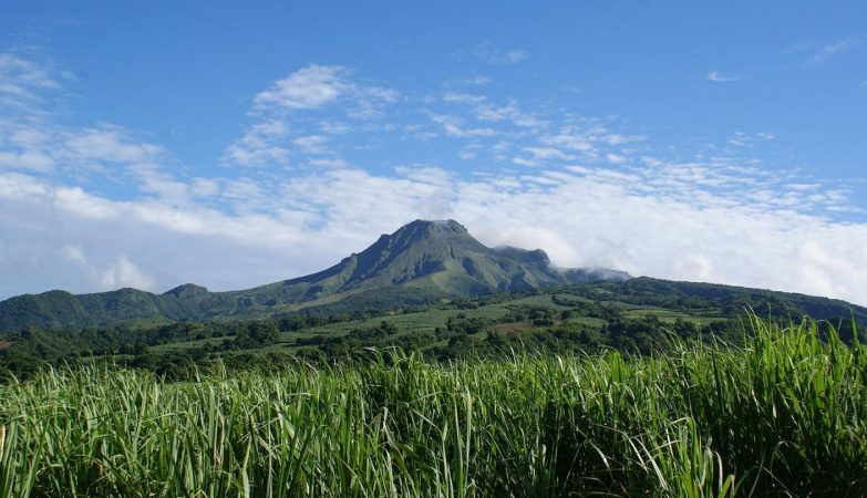 Quel type de voiture louer en Martinique ?